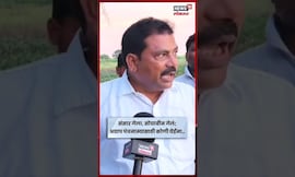Latur News | अतिवृष्टीने सोयाबीन सडलं, पंचनामा होईना, शेतकऱ्याला न्याय कधी मिळणार? N18S