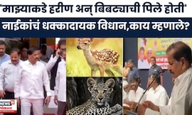 Ganesh Naik News | हरीण बिबट्यावरुन गणेश नाईकांचंधक्कादायक विधान,नेमकं काय म्हणाले? | Marathi News