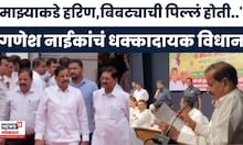 Ganesh Naik News | गणेश नाईकांचं धक्कादायक विधान: "माझ्याकडे हरिण आणि बिबट्याची पिल्लं होती..."