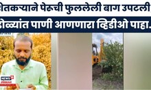 Sangli News | बागेवर ट्रॅक्टर चालवला! | 'खर्च परवडेना' म्हणून शेतकऱ्याने पेरूची पेरूची बाग उपटवली