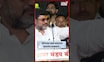 Dhananjay Munde News  । शिंगावर कसं घ्यायचं ते करूनच दाखवलं, मुंडे थेटच बोलले । Beed OBC Melava News