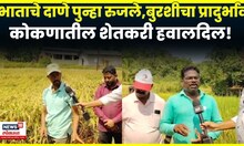 Ratnagiri Farmer News | विदर्भाला पॅकेज कोकणाला का नाही? कोकणातील शेतकऱ्यांने मांडली व्यथा | N18V