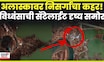 Alaska Flood News | Typhoon Halong ने अलास्कात माजवला कहर !सॅटेलाईटची भीषण दृश्यं समोर | N18G