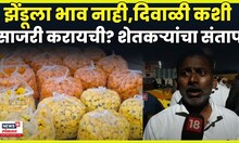 Nashik Manmad Farmers News | ऐन दिवाळीत झेंडू उत्पादक शेतकऱ्यांना भाव नाही | Marathi News | N18V