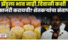 Nashik Manmad Farmers News | ऐन दिवाळीत झेंडू उत्पादक शेतकऱ्यांना भाव नाही | Marathi News | N18V