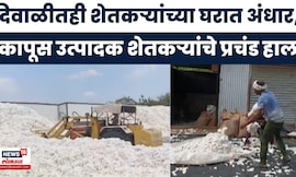 Maharashtra News | हमीभाव असूनही कापूस कवडीमोल दरात! दिवाळीतही शेतकरी संकटात, हाल थांबणार कधी?