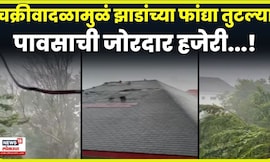 Hurricane Melissa Video | चक्रीवादळामुळं झाडांच्या फांद्या तुटल्या N18G