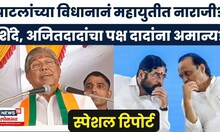 Mahayuti Crisis News | Special Report | NCP, सेनेवर बोलले भाई, दादांना झोंबले?