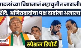 Mahayuti Crisis News | Special Report | NCP, सेनेवर बोलले भाई, दादांना झोंबले?