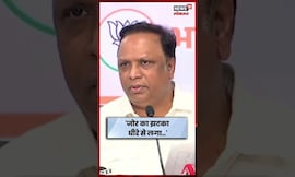 Ashish Shelar News | 'विधानसभेच्या निकालानंतर सगळे विरोधक..' विरोधकांवर शेलार बरसले | N18S