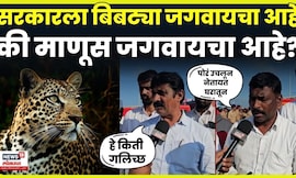 Shirur Bibtya News | लोकांना बिबट्याचा त्रास का आहे? गावकरी आक्रमक का? N18V