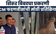 Devendra Fadnavis News | Shirur Bibtya प्रकरणी CM फडणवीसांची मोठी प्रतिक्रिया | Marathi News