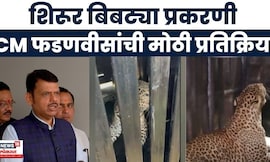 Devendra Fadnavis News | Shirur Bibtya प्रकरणी CM फडणवीसांची मोठी प्रतिक्रिया | Marathi News