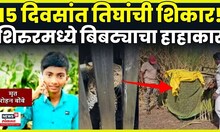 Shirur News | 15 दिवसांत काय घडलं? बिबट्याची दहशत! 3 ठार, शिरुरमध्ये हाहाकार Shirur Bibtya | N18V