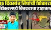 Shirur News | 15 दिवसांत काय घडलं? बिबट्याची दहशत! 3 ठार, शिरुरमध्ये हाहाकार Shirur Bibtya | N18V