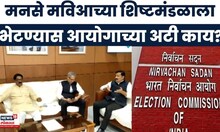 MVA MNS News | मनसे मविआच्या शिष्टमंडळाला भेटण्यास Election Commission चा नकार? | Marathi News