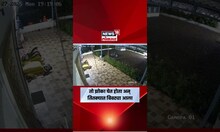 Pune News | बिबट्याच्या हल्ल्यातून थोडक्यात बचावला, थरारक CCTV समोर