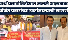 MNS Protest On Parth Pawar News | पार्थ पवारांविरोधात मनसे आक्रमक, पुण्यात आंदोलन | Marathi News