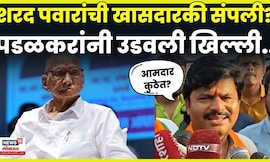 Gopichand Padalkar On Sharad Pawar | शरद पवारांच्या खासदारकीबाबत पडळकरांचं मोठं विधान N18V