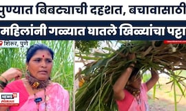 Pune News | बिबट्यापासून वाचण्यासाठी गळ्यात खिळ्यांचा पट्टा, महिलांची अनोखी शक्कल