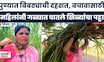 Pune News | बिबट्यापासून वाचण्यासाठी गळ्यात खिळ्यांचा पट्टा, महिलांची अनोखी शक्कल