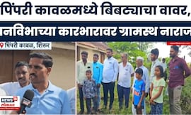 Shirur Bibtya News | वनविभागाच्या दुर्लक्षामुळे बिबट्याची दहशत, शाळेजवळच वावर, ग्रामस्थांचा संताप