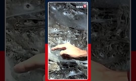 Massive Cave Discovery: 100,000 Spiders Built a Giant Web Colony | Researchers STUNNED N18S