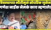 Ganesh Naik On Leopard Attack News | बिबट्याचा हल्ला कसा रोखता येणार? नाईकांचं मोठं विधान N18V