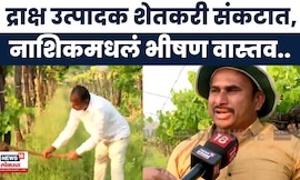 Nashik News | द्राक्षांची बाग तोडण्याची वेळ, बळीराजा संकटात सापडला | Marathi News