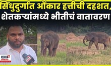 Omkar Elephant News | सिंधुदुर्गात ओंकार हत्तीची दहशत, पाहा न्यूज 18 लोकमता ग्राऊंड रिपोर्ट | N18V