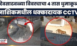 Nashik Bibtya CCTV | भरदिवसा नाशिकमध्ये धुमाकूळ, बिबट्याचा थरारक सीसीटीव्ही समोर | Marathi News