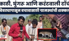 Chandrapur Bibtya News | चंद्रपुरात बिबट्यापासून बचावासाठी ग्रामस्थांची अनोखी शक्कल | Leopard News