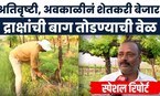 Nashik News | Special Report | द्राक्षांची बाग तोडण्याची वेळ, बळीराजा संकटात सापडला | Marathi News
