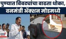 Ganesh Naik News | पुण्यात बिबट्यांची दहशत, वनमंत्री गणेश नाईकांनी अधिकाऱ्यांची बोलावली बैठक