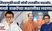 Raj Thackeray News | मनसेची नगरपंचायत-नगरपरिषद निवडणुकीत माघार? नेमकं कारण काय?