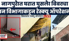 Nagpur Bibtya News | नागपुरात वन विभागाकडून रेस्क्यू ऑपरेशन | Marathi News