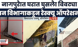 Nagpur Bibtya News | नागपुरात वन विभागाकडून रेस्क्यू ऑपरेशन | Marathi News
