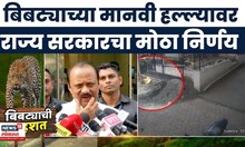 Bibtya Halla News | महाराष्ट्र सरकारचा मोठा निर्णय! बिबट्याच्या हल्ल्यांना राज्य आपत्ती घोषित