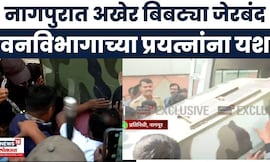 Nagpur Bibtya News | नागपुरात बिबट्या जेरबंद, वनविभागाला मोठं यश | Marathi News