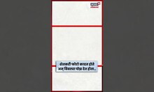 Bibtya News |  Paithan येथे  बिबट्याचा मुक्त संचार! वनविभागाला पुरावे द्यावे तरी किती? N18S