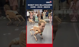 Viral Robot Dogs : मस्क, झुकरबर्ग, बेझोस... हे व्हायरल 'रोबो डॉग' पाहिलेत का? | N18S