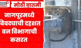 Nagpur Leopard News | नागपुरात बिबट्याचा संचार, वनविभागानं केलं जेरबंद