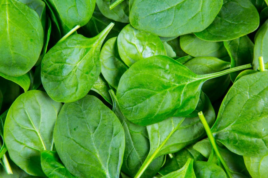 benefitsofspinachsuperfoods News18 Kannada