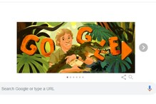 Steve Irwin’s Birthday Google Doodle: ವನ್ಯಜೀವಿ ರಕ್ಷಕ ಸ್ಟೀವ್​ ಇರ್ವಿನ್​ಗೆ ಗೂಗಲ್​ ಡೂಡಲ್​ ಗೌರವ