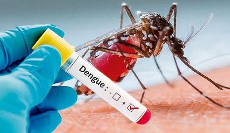Dengue cases in Delhi: ದೆಹಲಿಯಲ್ಲಿ 833 ಡೆಂಗ್ಯೂ ಪ್ರಕರಣಗಳು ಪತ್ತೆ Dengue cases in Delhi: ದೆಹಲಿಯಲ್ಲಿ 833 ಡೆಂಗ್ಯೂ ಪ್ರಕರಣಗಳು ಪತ್ತೆ