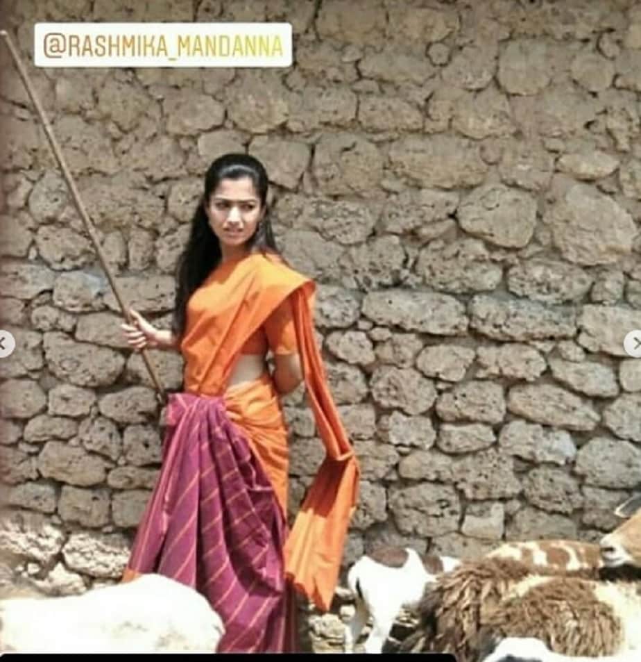 Rashmika Mandanna's sheep Grazing photos gone Viral on social media