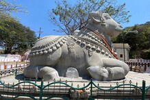 ಚಾಮುಂಡಿ ಬೆಟ್ಟದ ನಂದಿಯಲ್ಲಿ ಬಿರುಕು!; ರಾಸಾಯನಿಕ ಬಳಕೆಯಿಂದ ವಿಗ್ರಹಕ್ಕೆ ಹಾನಿ? ಚಾಮುಂಡಿ ಬೆಟ್ಟದ ನಂದಿಯಲ್ಲಿ ಬಿರುಕು!; ರಾಸಾಯನಿಕ ಬಳಕೆಯಿಂದ ವಿಗ್ರಹಕ್ಕೆ ಹಾನಿ?