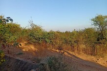 ಲಲಿತ ಕಲಾ ವಿ.ವಿ.ಗೆ ಬಜೆಟ್ ನಲ್ಲಿ ಅನುದಾನ ಘೋಷಣೆ ನಿರೀಕ್ಷೆ - ಗರಿಗೆದರಿದ ಕನಸು