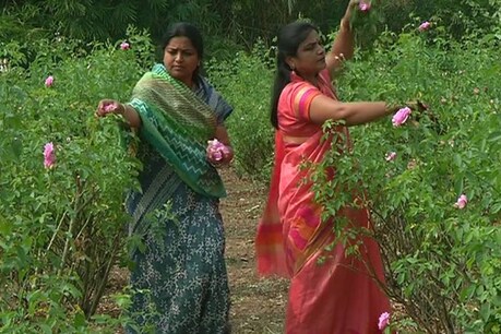 ಅಕ್ಕ-ತಂಗಿಯ ಪುಷ್ಪ ಕೃಷಿ ಕಮಾಲ್; ಗುಲಾಬಿಯಿಂದ ಗುಲ್ಕಂದ್ವರೆಗೂ ಉಪ ಉತ್ಪನ್ನ ತಯಾರಿಸಿ ಯಶಸ್ವಿ ಉದ್ಯಮ ಅಕ್ಕ-ತಂಗಿಯ ಪುಷ್ಪ ಕೃಷಿ ಕಮಾಲ್; ಗುಲಾಬಿಯಿಂದ ಗುಲ್ಕಂದ್ವರೆಗೂ ಉಪ ಉತ್ಪನ್ನ ತಯಾರಿಸಿ ಯಶಸ್ವಿ ಉದ್ಯಮ