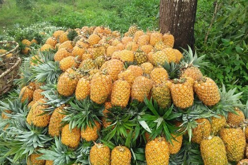 ಅನಾನಸ್